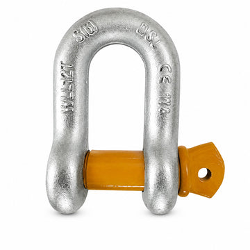 Grade 6 DW Type Shackle