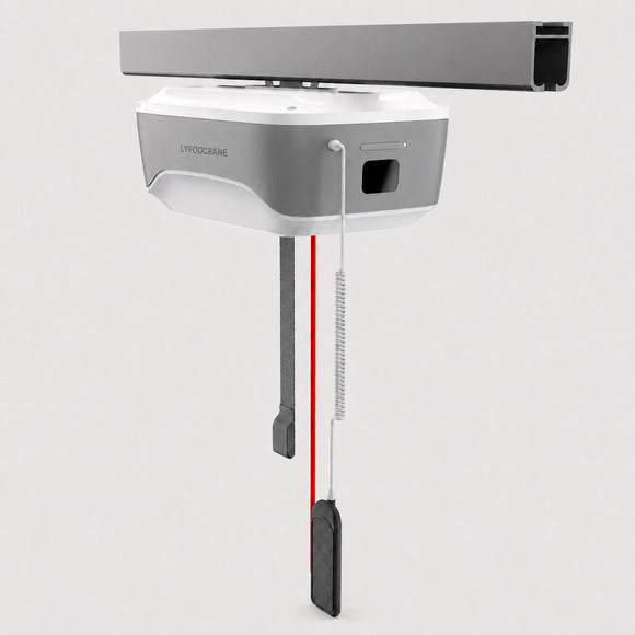 Professional Hoist (New Version)