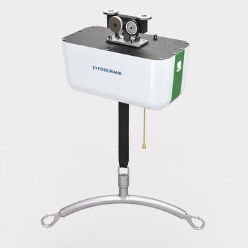 Professional Hoist (Old Version)