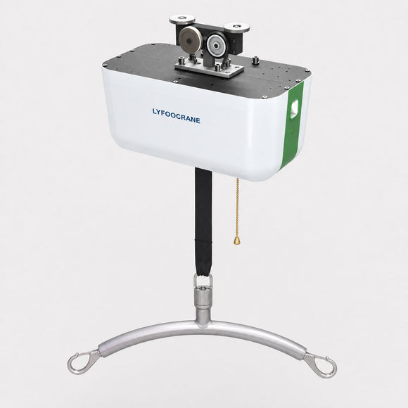 Professional Hoist (Old Version)